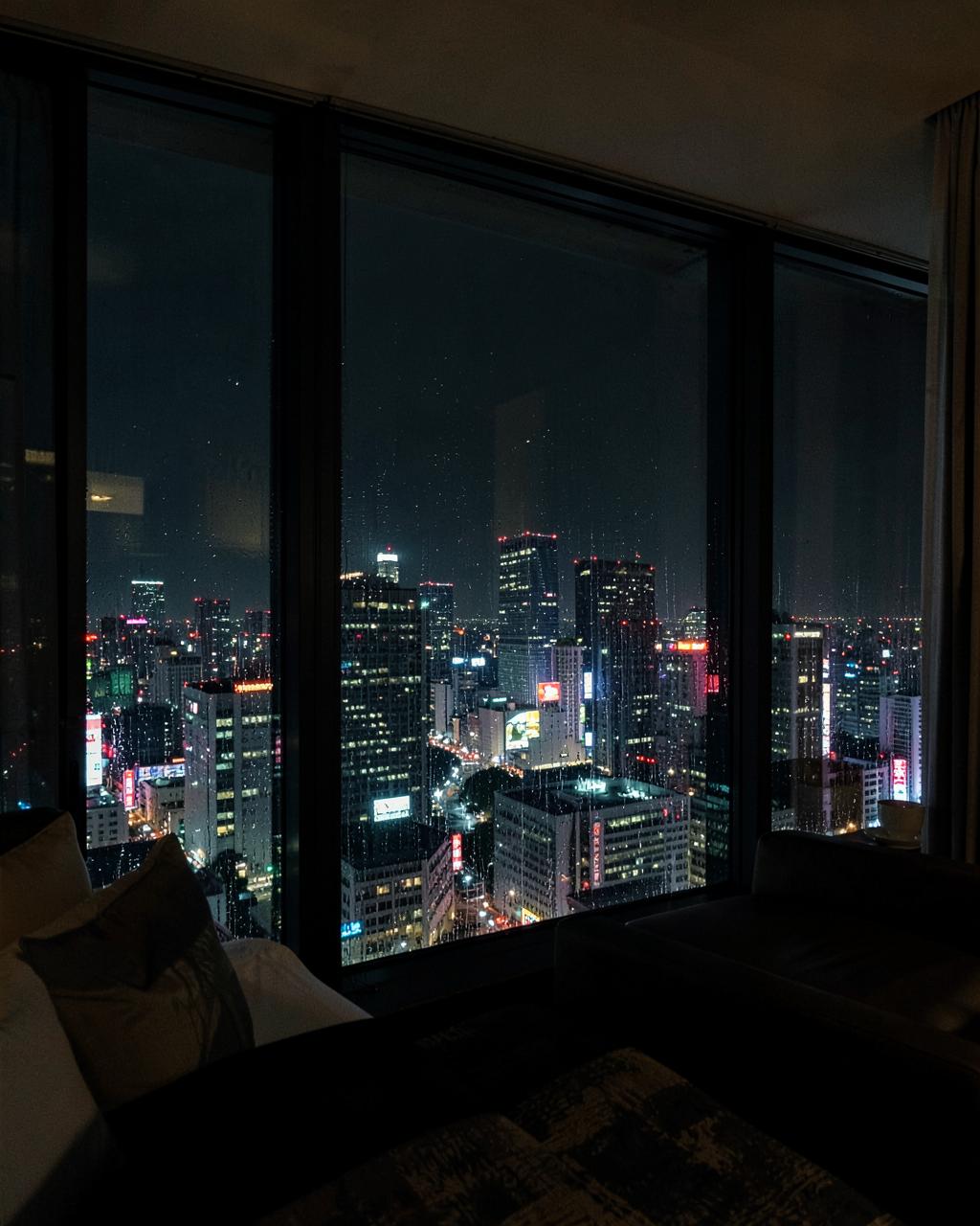 48 Hours in Tokyo